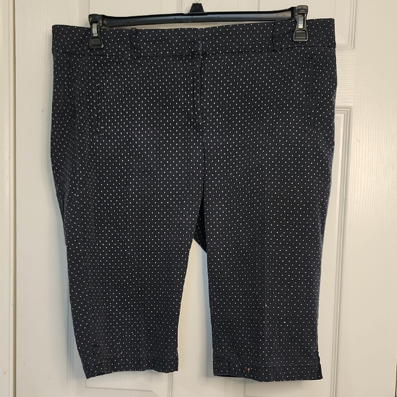 Ann Taylor Pants - ANN TAYLOR WOMAN'S BERMUDA SHORTS
